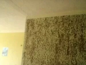 pintura